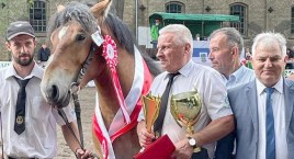 Borys - championem na Ogólnopolskiej Wystawie Koni Zimnokrwistych. Zwycięski ogier jest ze stajni Witolda Świątek Brzezińskiego