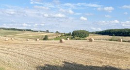 Rolnicy starają się nadrobić żniwne zaległości. Pogoda wreszcie zaczęła im sprzyjać