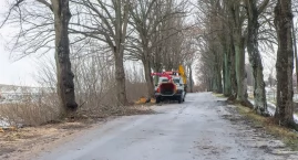 Rocznie usuwanych jest 100 sztuk. Trwa zimowe wycinanie przydrożnych drzew