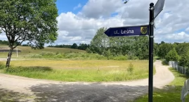 Leśne ulice z kostki i asfaltu