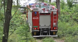 Pożar nieużytków, a blisko las