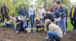 Przed bytowskim szpitalem wyrośnie 2000 żółtych żonkili