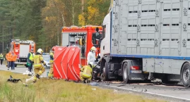 W wypadku zginęli dwaj mężczyźni i kobieta. Byli mieszkańcami Gdańska
