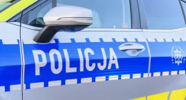Kolizje, alkohol i potrącony dzik [KRONIKI POLICYJNE]