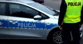 Dwie kolizje i potrącona sarna [KRONIKA POLICYJNA]