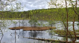 Dwa nowe rezerwaty w powiecie bytowskim
