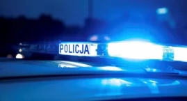 Konar drzewa spadł na samochód w Przęsinie [KRONIKA POLICYJNA]