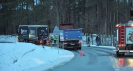 Lipnica zakorkowana. „Złamała się