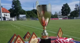 Zdjęcie przedstawia: Nie będzie święta futbolu, bo nie będzie kibiców