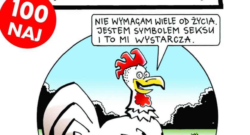 Rysunki Andrzeja Mleczko w Inowrocławiu