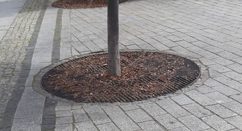 Rynek wypiękniał w kilka godzin po interpelacji
