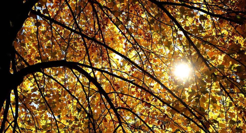 We wtorek rozpocznie się astronomiczna jesień
