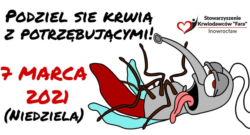 Chcesz oddać krew?