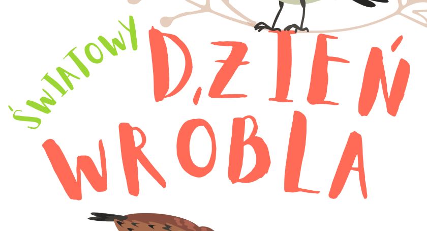Przygód kilka nie tylko wróbla Ćwirka!