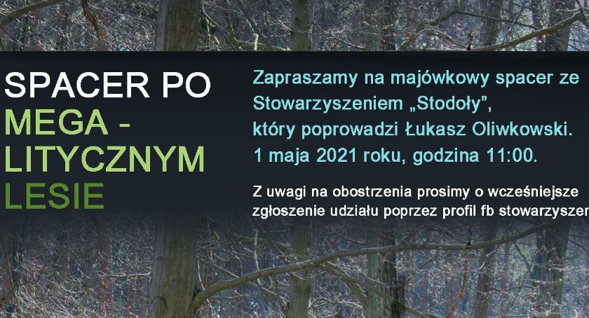 Spacer po megalitycznym lesie