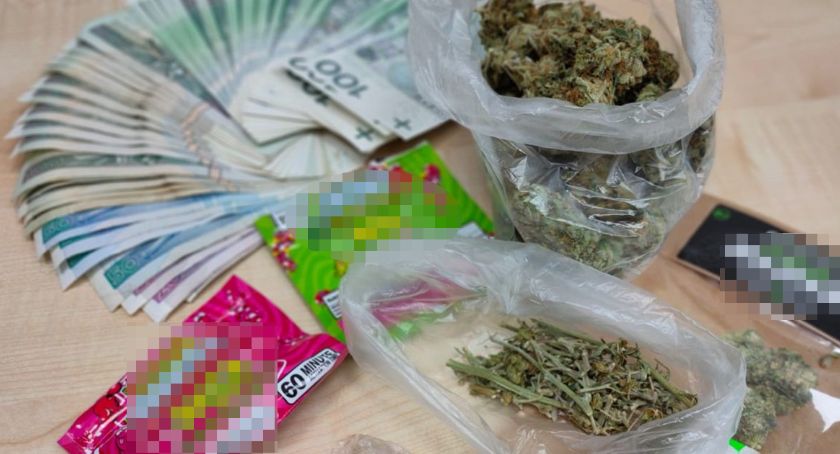 Kryminalni z Inowrocławia przejęli marihuanę i tabletki extasy
