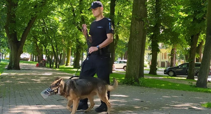 Policyjny przewodnik z psem na służbie
