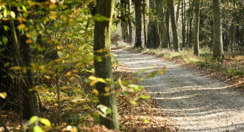 Synoptyk IMGW: poniedziałek ciepły i pogodny, z temperaturą do 23 stopni