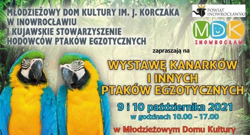 Wystawa ptaków egzotycznch