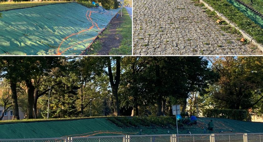 Trwają jesienne nasadzenia
