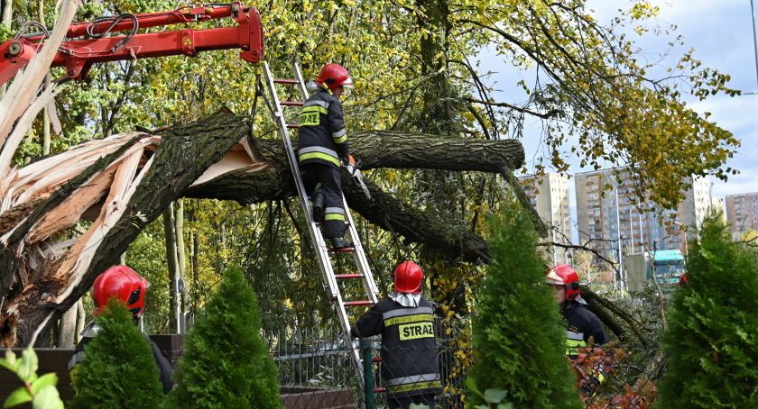 PSP: ponad 3,2 tys. interwencji w związku z silnym wiatrem; zginęły 4 osoby, 6 zostało rannych