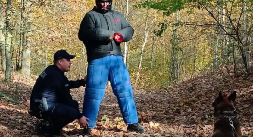 Psy służbowe przeszły atestację