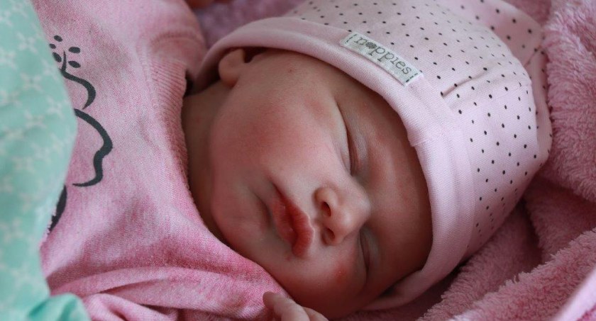 Kreator wniosków o 500 plus na PUE ZUS
