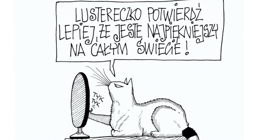 Dzień Kota z rysunkami Magdaleny Gałęzi!