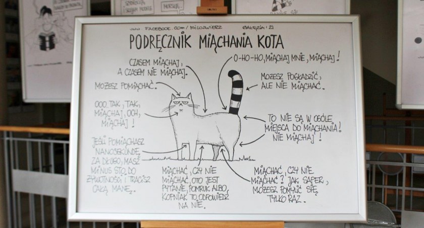 Światowy Dzień Kota z Kotem Jaśniepanem!