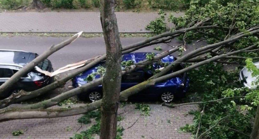 Powalone drzewo uszkodziło samochody