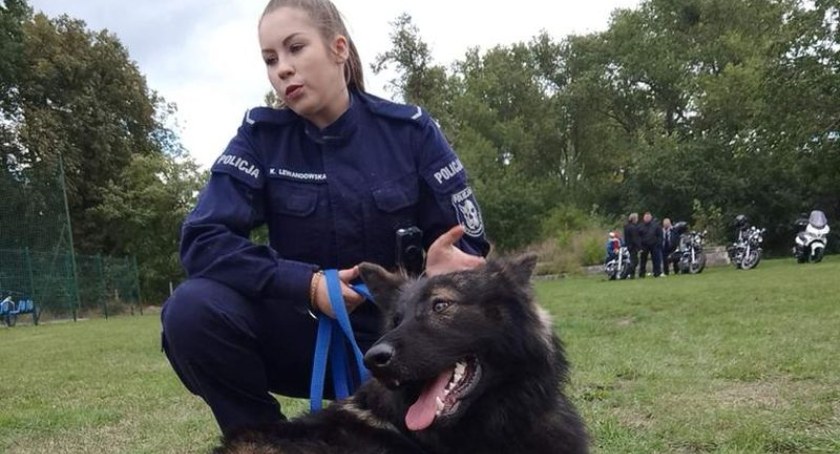 Policyjna przewodniczka edukuje na festynach