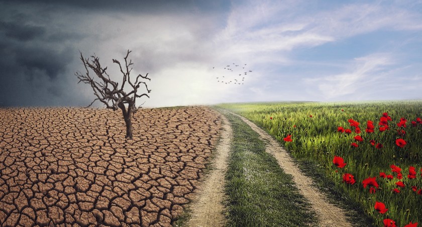WWF uświadamia społeczeństwo o ciągłych zmianach klimatu