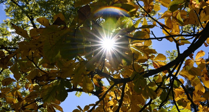 Meteorolog IMGW: bomba ciepła nad Polską; w poniedziałek nawet 23 st. C