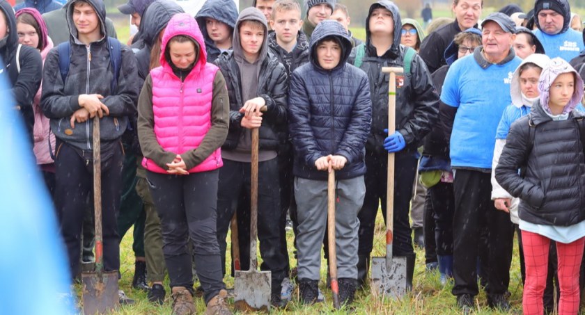 Nowy las już posadzony