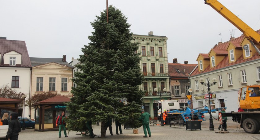Choinka już na Rynku