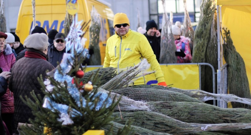 17 grudnia RMF FM będzie rozdawać choinki w Inowrocławiu