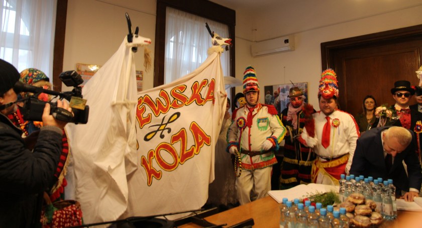 Kozy szaleją na mieście