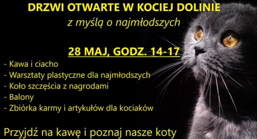Drzwi otwarte w Kociej Dolinie