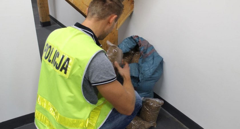 Tytoń bez akcyzy przejęli inowrocławscy kryminalni