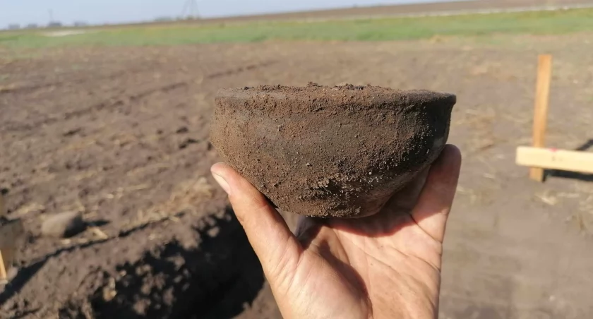 Archeolodzy z powiatowego muzeum w Brudni