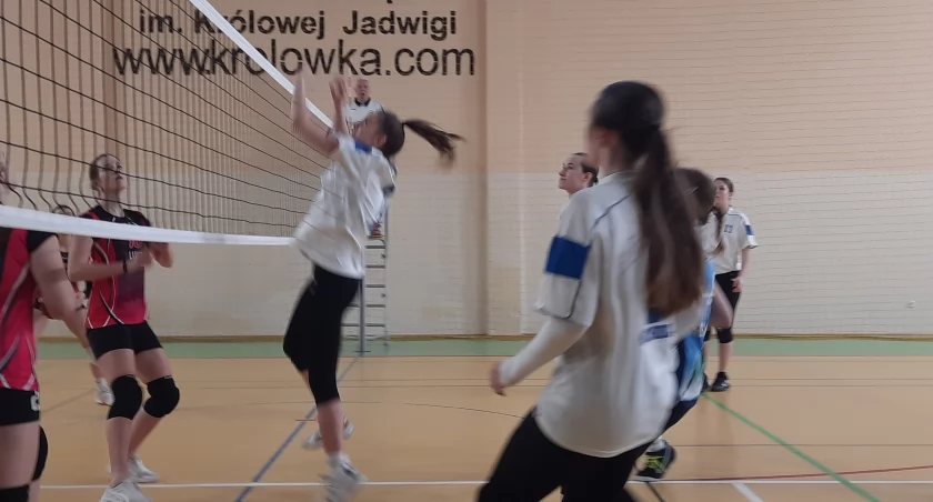 Konopa odpadła po walce!
