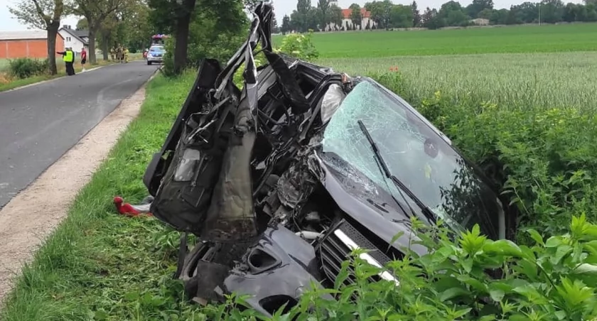 Wypadek pod Kruszwicą