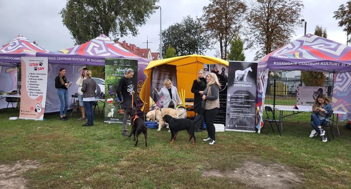 Festyn dla psów i ich właścicieli