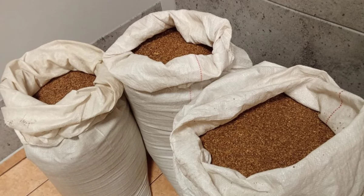 Miała w domu worki pełne tytoniu