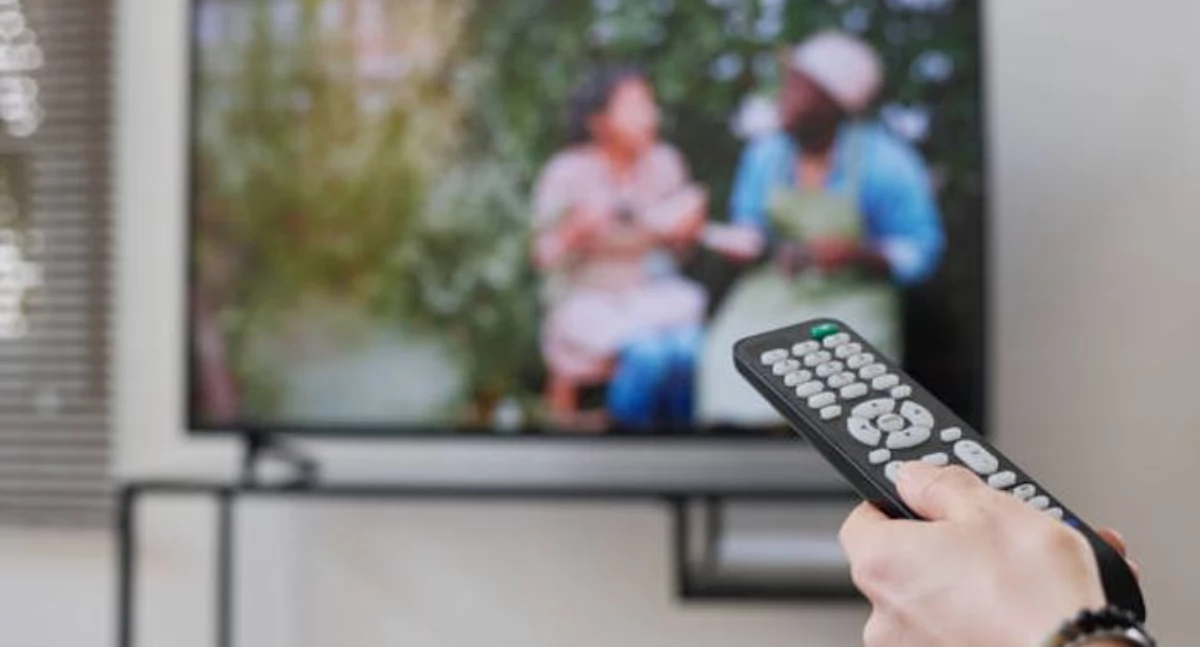 Jak fascynacja życiem innych ludzi napędza popularność programów paradokumentalnych ?