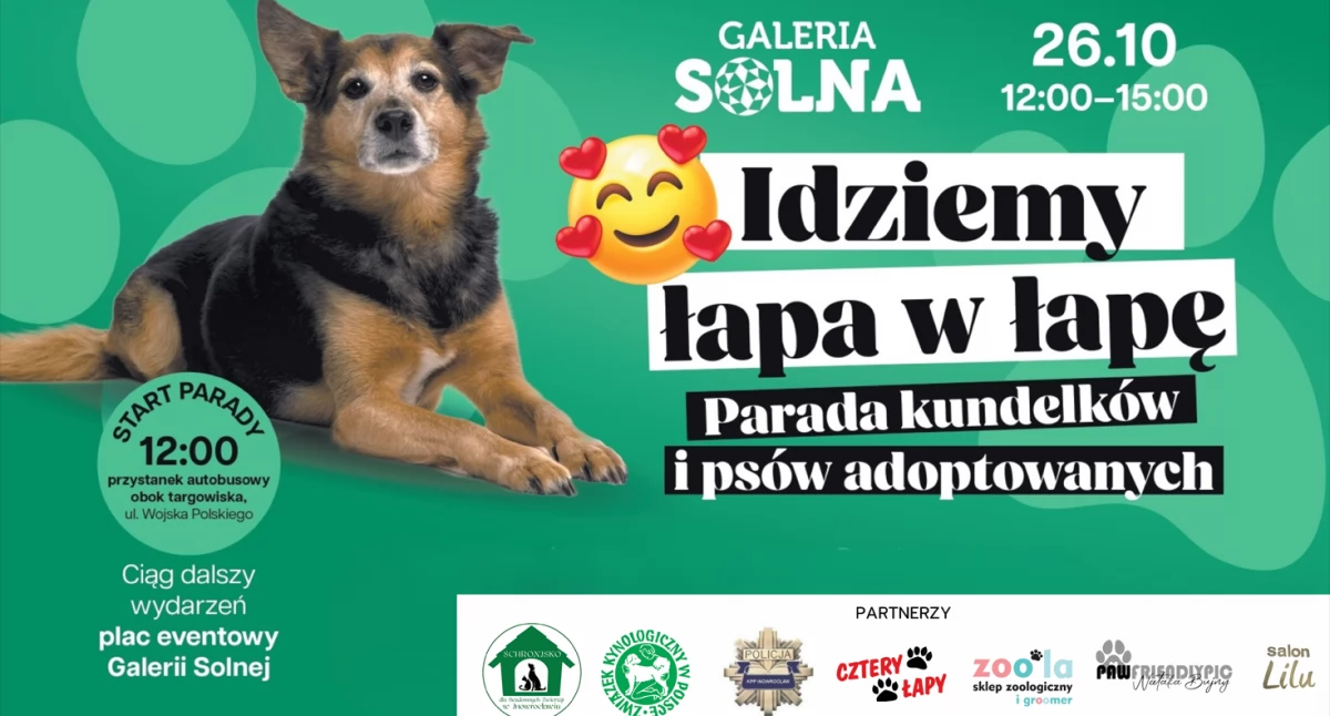 Znów pójdziemy łapa w łapę! II Parada kundelków i adpociaków