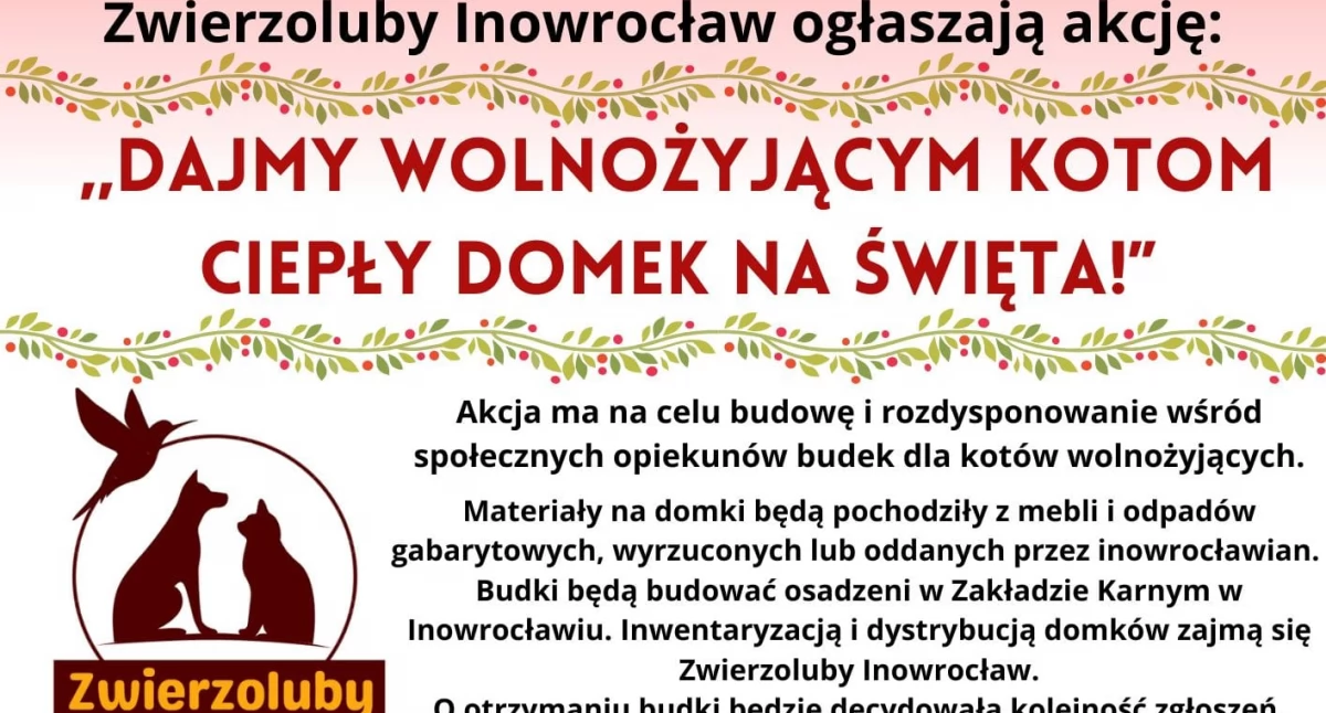 Pomóżmy kotom przetrwać zimę!