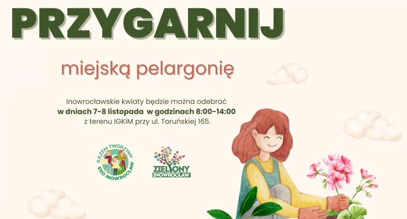 Przygarnij miejską pelargonię!