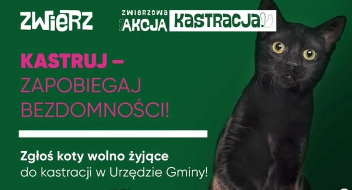 ZWIERZowa Akcja