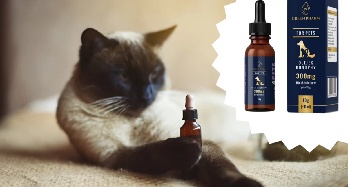 CBD dla zwierząt - W jaki sposób wspiera zdrowie naszych pupili?